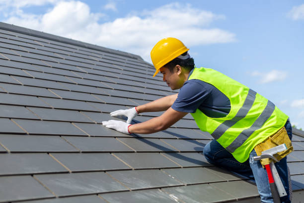 Best Metal Roofing Contractor  in Black Forest, CO