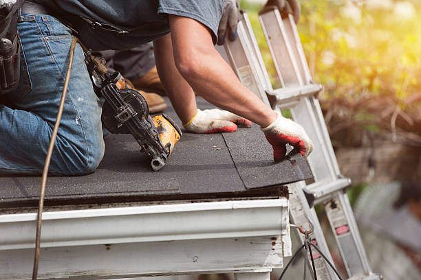 Best Roof Maintenance Services  in Black Forest, CO