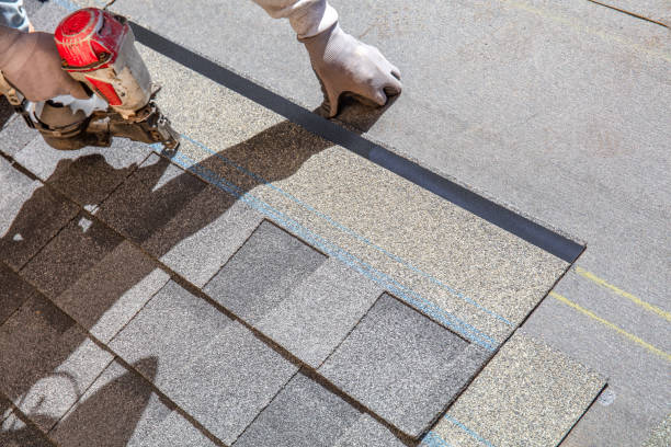 Best Gutter Installation and Roofing  in Black Forest, CO