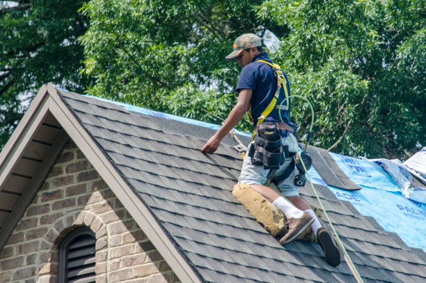 Reliable Black Forest, CO Roofing Contractor Solutions